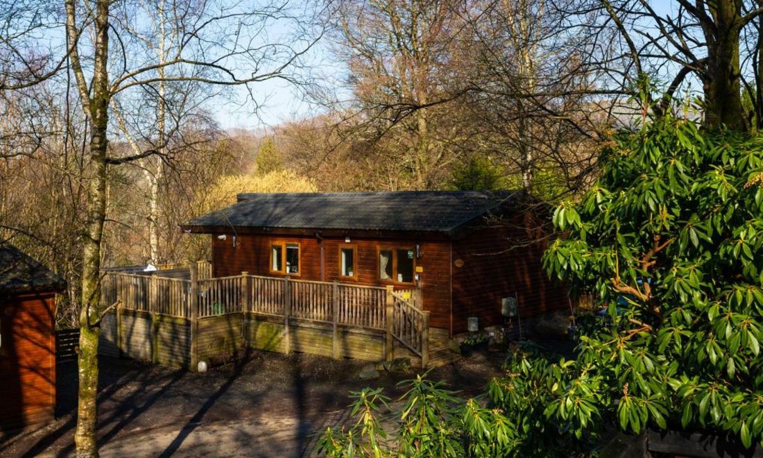 Owls House, White Cross Bay, Ambleside, Windermere Exteriör bild