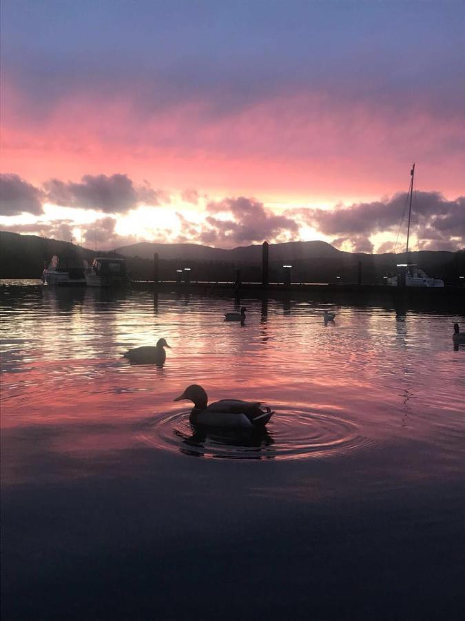 Owls House, White Cross Bay, Ambleside, Windermere Exteriör bild